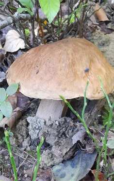20241001_104050.jpg