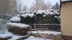20241123_072521.jpg 20241123_072521.jpg