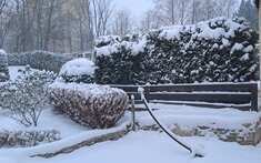 20250112_075349.jpg