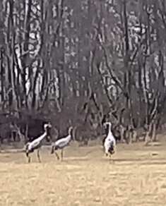 20250304_132115.jpg 20250304_132115.jpg