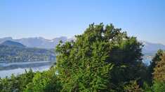 20250502_065250.jpg