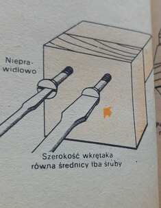 20260328_101623.jpg