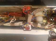 acc72967-c14c-48ef-b0cc-ea925bd36cd9.jpg