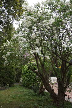 dsc01248.jpg