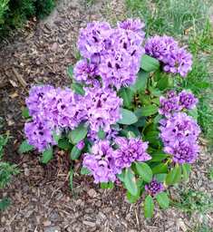 image0000011.jpg