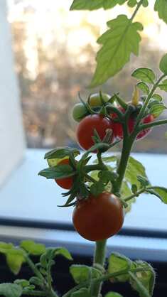 img-20240815a.jpg img-20240815a.jpg