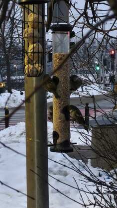 img-20260131-wa0015.jpg