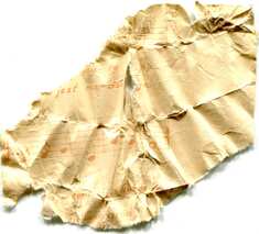 img162.jpg