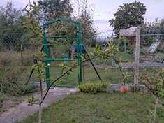 img_20240817_2000392.jpg