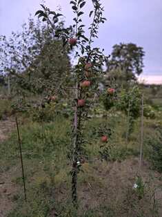img_20240825_185414.jpg