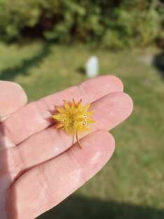 img_20240827_145945.jpg