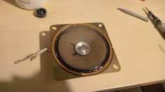 img_20251010_182130_511.jpg