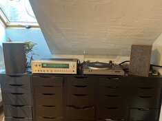 img_2392.jpeg