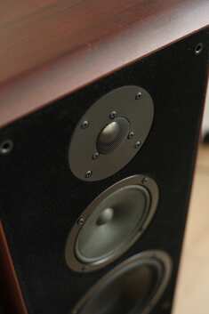 pl_9152.jpg pl_9152.jpg