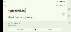 screenshot_2025-01-02-11-57-32-555_com.google.android.apps_.translate.jpg