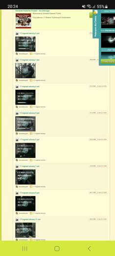 screenshot_20251128_202440_chrome.jpg