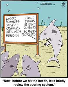 shark2.jpg
