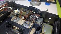 tcd-330_heads.jpg tcd-330_heads.jpg
