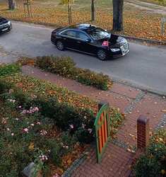 videocapture_20221015-110842.jpg