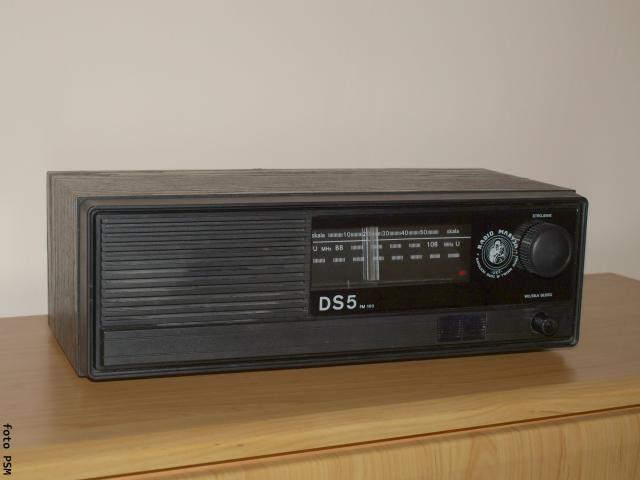 DS-5 FM-100.jpg